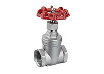 Gate Valve Manufacturer in India