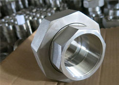 Monel Union Fittings Supplier in India