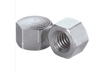 Nuts Manufacturers in India